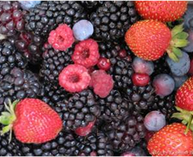 Boonah VIC Accommodation Port Macquarie