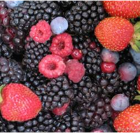 Gentle Annie Berry Gardens - Accommodation Port Macquarie