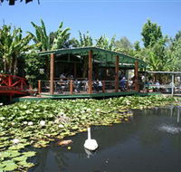 Blue Lotus Water Garden