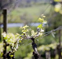 Norton Estate Wines - Accommodation Port Macquarie