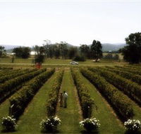 Rochford Wines - Accommodation Port Macquarie
