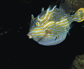 Accommodation Port Macquarie