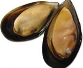 St Leonards VIC Accommodation Port Macquarie