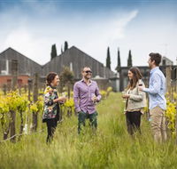 Willow Creek Vineyard - Accommodation Port Macquarie