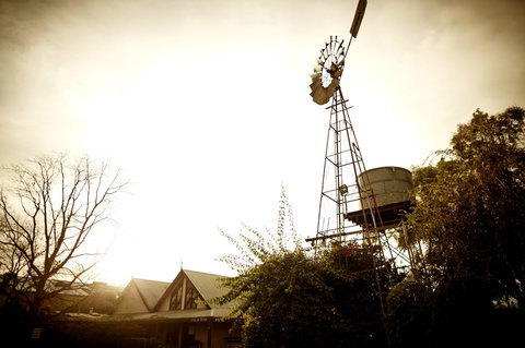 Brown Brothers Milawa Vineyard - Accommodation Port Macquarie 1