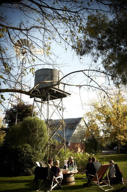 Brown Brothers Milawa Vineyard - Accommodation Port Macquarie 5