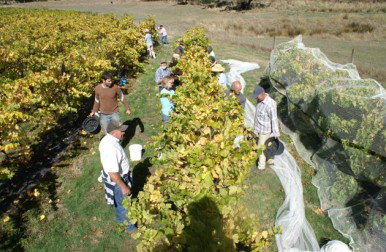 Deans Marsh VIC Accommodation Port Macquarie