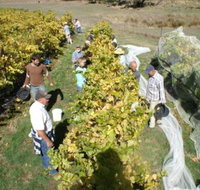 Blakes Estate Winery - Accommodation Port Macquarie