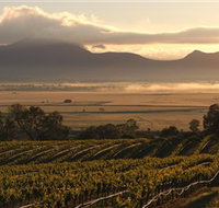 Montara Wines - Accommodation Port Macquarie