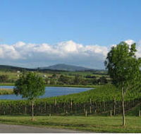 Yarrawood Estate - Accommodation Port Macquarie