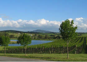 Yarrawood Estate - Accommodation Port Macquarie 0