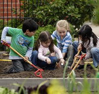 The Ian Potter Foundation Children's Garden