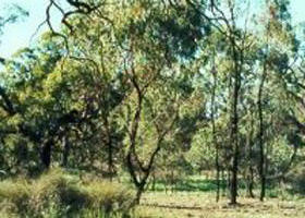 Westby VIC Accommodation Port Macquarie