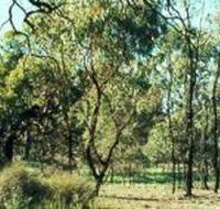 Leaghur State Park - Accommodation Port Macquarie