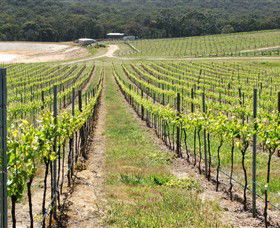 M Chapoutier Australia - Accommodation Port Macquarie 0