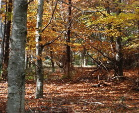 RJ Hamer Arboretum - Accommodation Port Macquarie 0