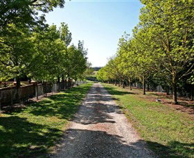 Waybourne Winery - Accommodation Port Macquarie 0