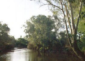 Banksia Park - Accommodation Port Macquarie 0