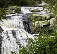 Agnes Falls Scenic Reserve - Accommodation Port Macquarie