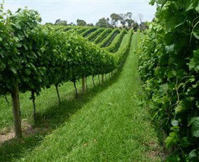 The Cups Estate - Accommodation Port Macquarie 0