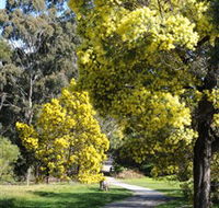 Wattle Park - Accommodation Port Macquarie
