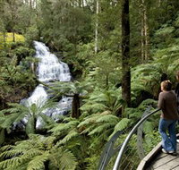 Great Otway National Park - Accommodation Port Macquarie