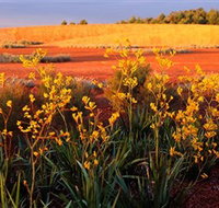 Royal Botanic Gardens Victoria Cranbourne - Accommodation Port Macquarie