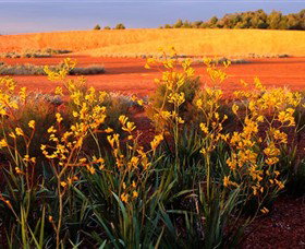 Royal Botanic Gardens Victoria Cranbourne - Accommodation Port Macquarie 0