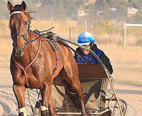 Ballarat & District Trotting Club - Accommodation Port Macquarie 0