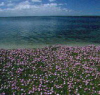 The Lakes National Park - Accommodation Port Macquarie