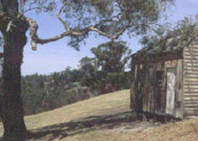 Hawkstowe Picnic Area - Accommodation Port Macquarie 0