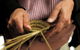 Boolarng Nangamai - Aboriginal Art And Culture Studio - thumb 0