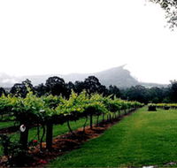 Cambewarra Estate Wines - Accommodation Port Macquarie