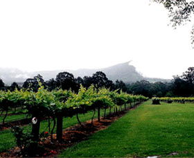 Cambewarra Estate Wines - Accommodation Port Macquarie 0