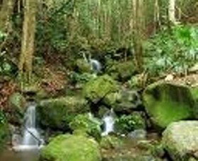 Budderoo National Park - Accommodation Port Macquarie 0