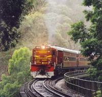 Cockatoo Run - Scenic Tour Train operated by 3801 Limited - Accommodation Port Macquarie
