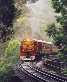 Cockatoo Run - Scenic Tour Train Operated By 3801 Limited - Accommodation Port Macquarie 0