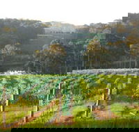 Tilba Valley Wines - Accommodation Port Macquarie