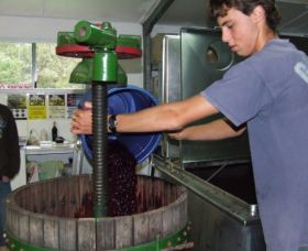 Fern Gully Winery - Accommodation Port Macquarie 0