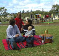 Blackbutt Forest Reserve - Accommodation Port Macquarie