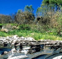 Abrahams Bosom Reserve - Accommodation Port Macquarie