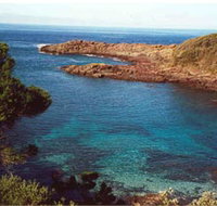 Bass Point Reserve - Accommodation Port Macquarie