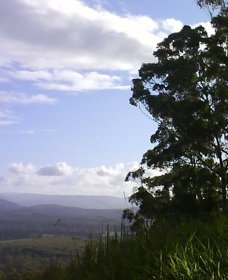 Sherwood Nature Reserve - Accommodation Port Macquarie 0