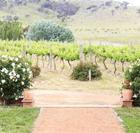 Brindabella Hills Winery - Accommodation Port Macquarie