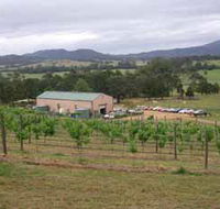 Villa d Esta Vineyard - Accommodation Port Macquarie