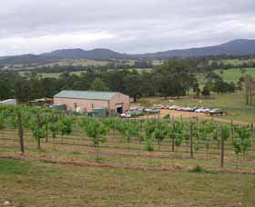 Villa D Esta Vineyard - Accommodation Port Macquarie 0
