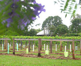 Douglas Vale Historic Homestead & Vineyard - Accommodation Port Macquarie 0