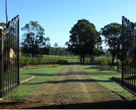 Moorebank Private Vineyard - Accommodation Port Macquarie 3