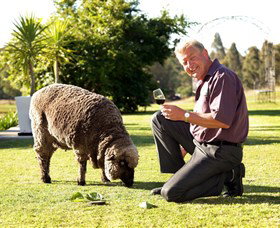 Moorebank Private Vineyard - Accommodation Port Macquarie 2