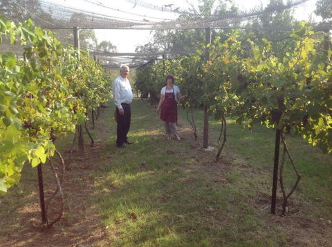 Holland Wines - Accommodation Port Macquarie 8